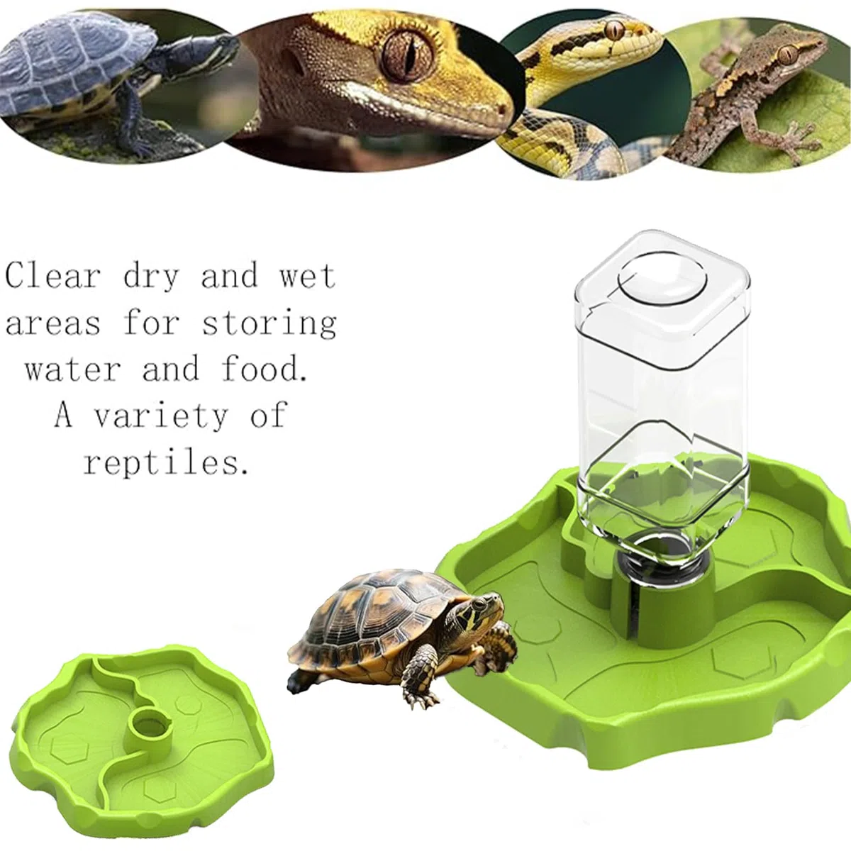 Abbeveratoio Automatico Rettili, Serbatoio Acqua Rettili, Abeveratoio Lucertola, per Tartaruga, Lucertola, Criceto, Serpente