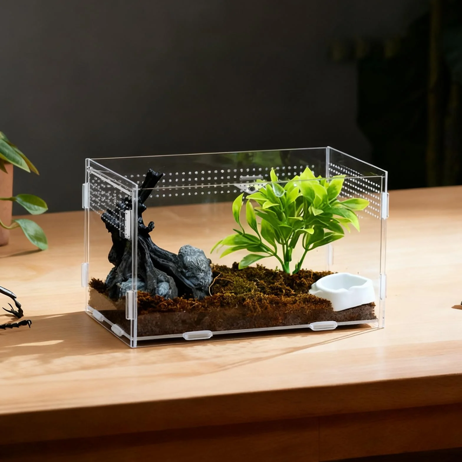 Terrario Acrilico, 20 x 12 x 12 cm Terrario per Rettili Acrilico, Trasparente Piccolo con Fori per l'Aria Teca per Geco, per Ragni, Criceti Contenitore per l'Alimentazione Degli Insetti
