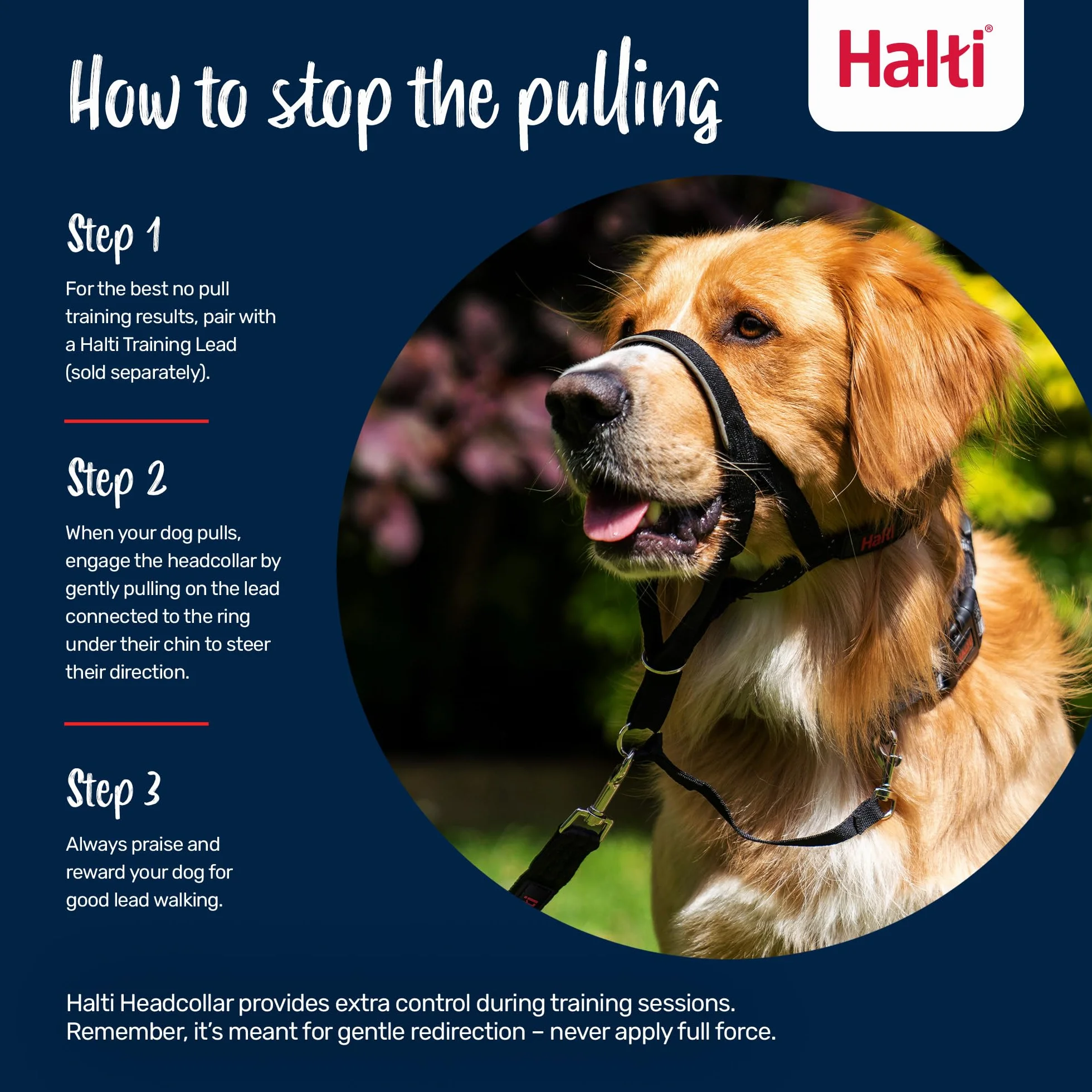 HALTI - Cavezza per impedire al cane di tirare al guinzaglio, regolabile, riflettente e leggera, con nasello imbottito, collare anti-tiro, per addestramento cani medi (Taglia 3, blu cobalto)