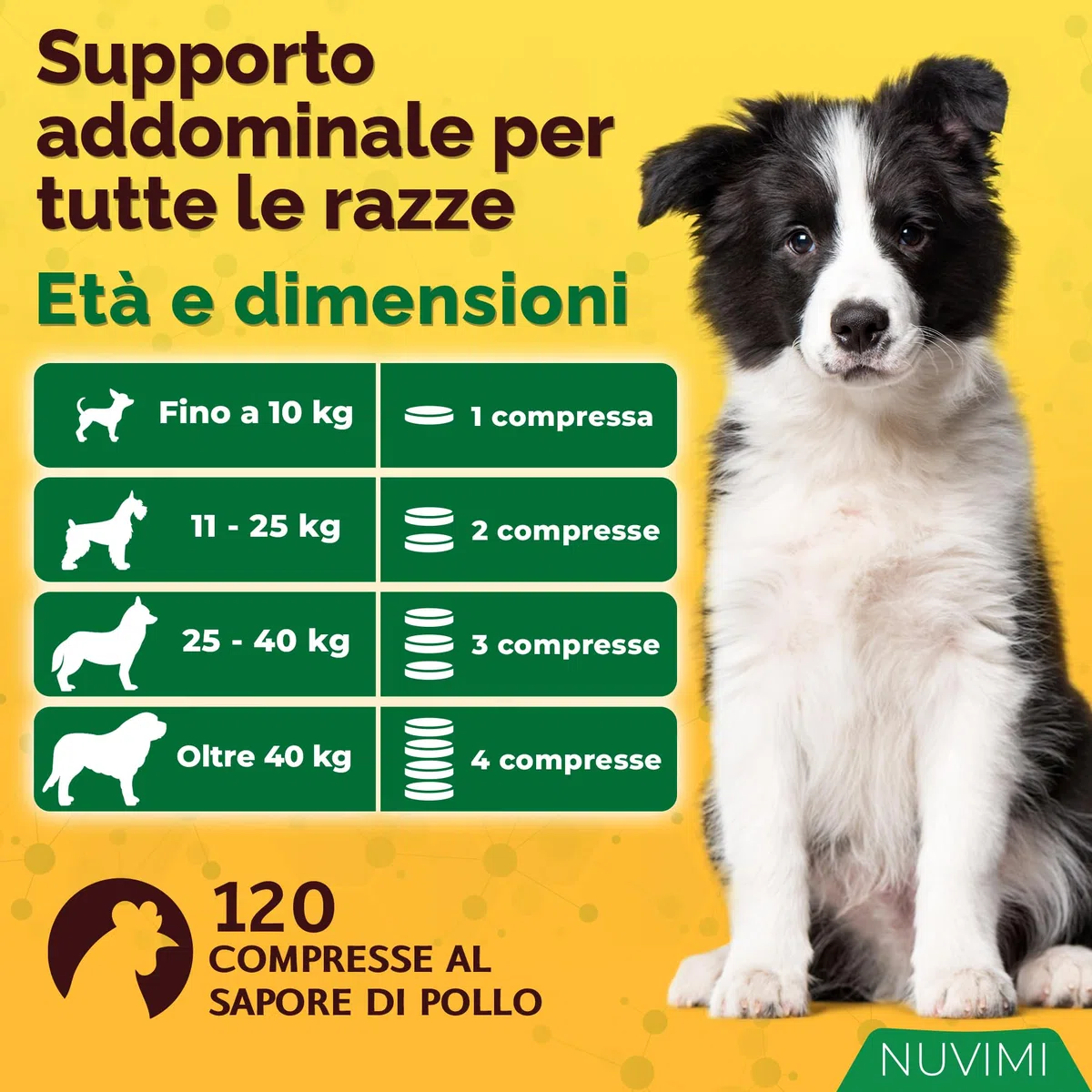 Probiotici per Cani - Compresse probiotiche e prebiotiche per Cani - Integratore per Il Supporto digestivo e la Salute intestinale - 120 Gusti di Pollo