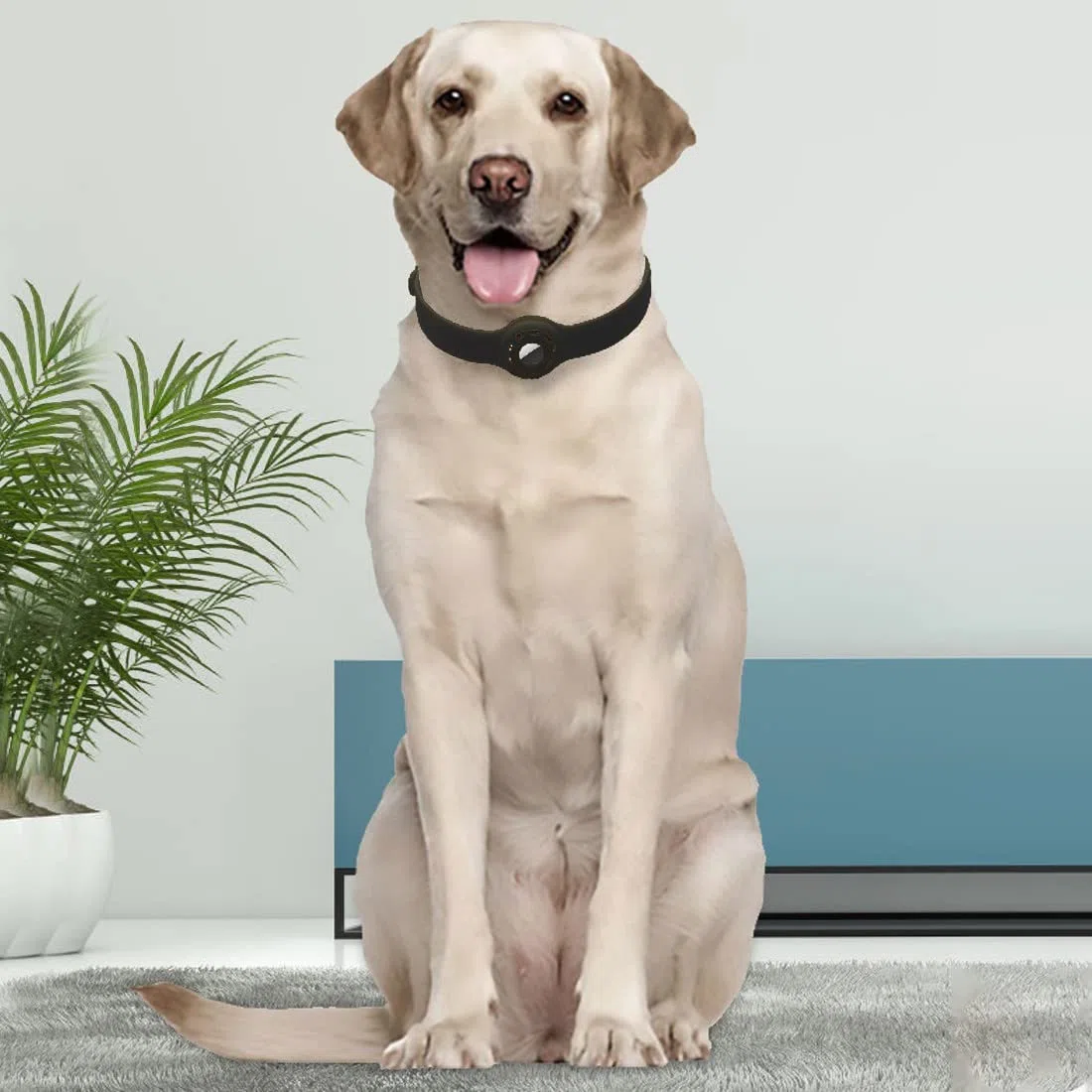 Custodia protettiva per animali domestici per Apple Airtag, per dispositivo anti-smarrimento localizzatore Apple, collare per accessori cane gatto di localizzazione (Black)