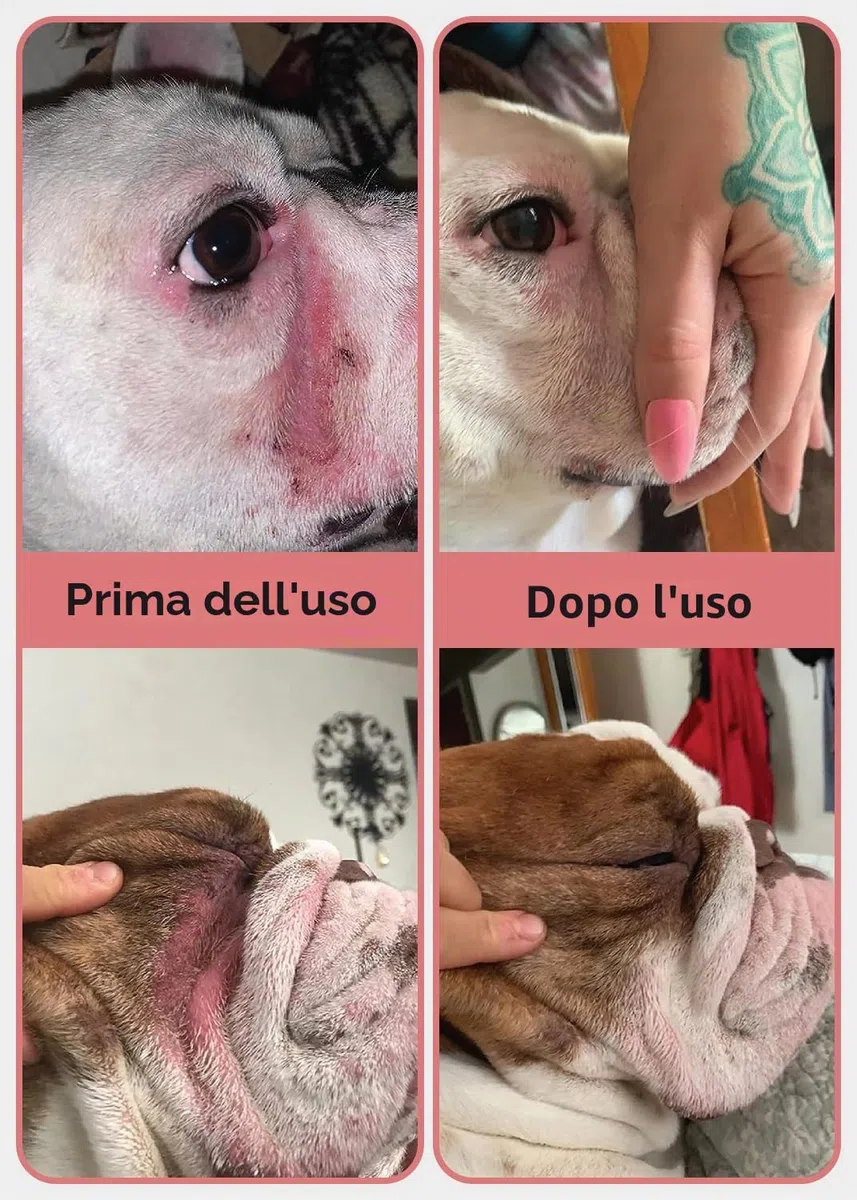 Salviette Antirughe + balsamo Antirughe per Cani | Bulldog, Bulldog Francese, Carlino, Bulldog Inglese | Pulisce e lenisce Rughe, Pieghe, Macchie di Lacrime, Tasche della Coda e Zampe