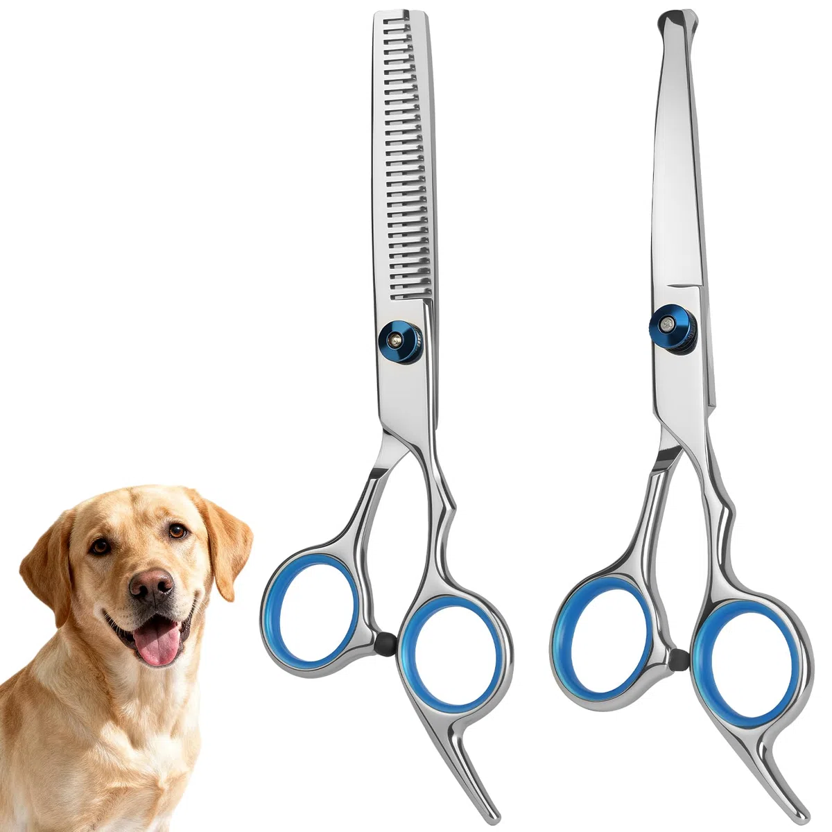 Kit Forbici Toelettatura Cani, 2 Pezzi Toelettatura Cani Forbici Inox Inossidabile, con punta rotonda sicurezza, per la toelettatura di cani e gatti