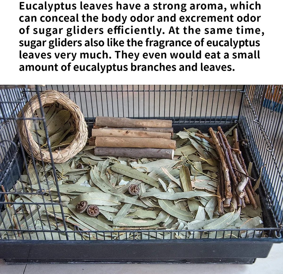 NEOUZA Sugar Glider - Lettiera per piccoli animali, giocattoli molari, 200 g di foglie di eucalipto essiccate naturali e ramoscelli (200 g di foglie di eucalipto)