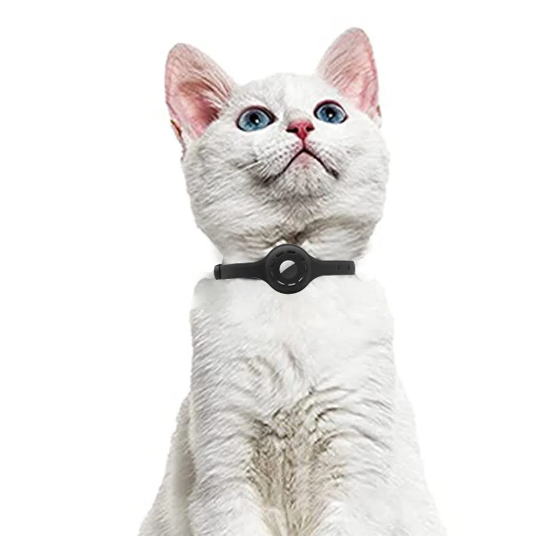 Custodia protettiva per animali domestici per Apple Airtag, per dispositivo anti-smarrimento localizzatore Apple, collare per accessori cane gatto di localizzazione (Black)