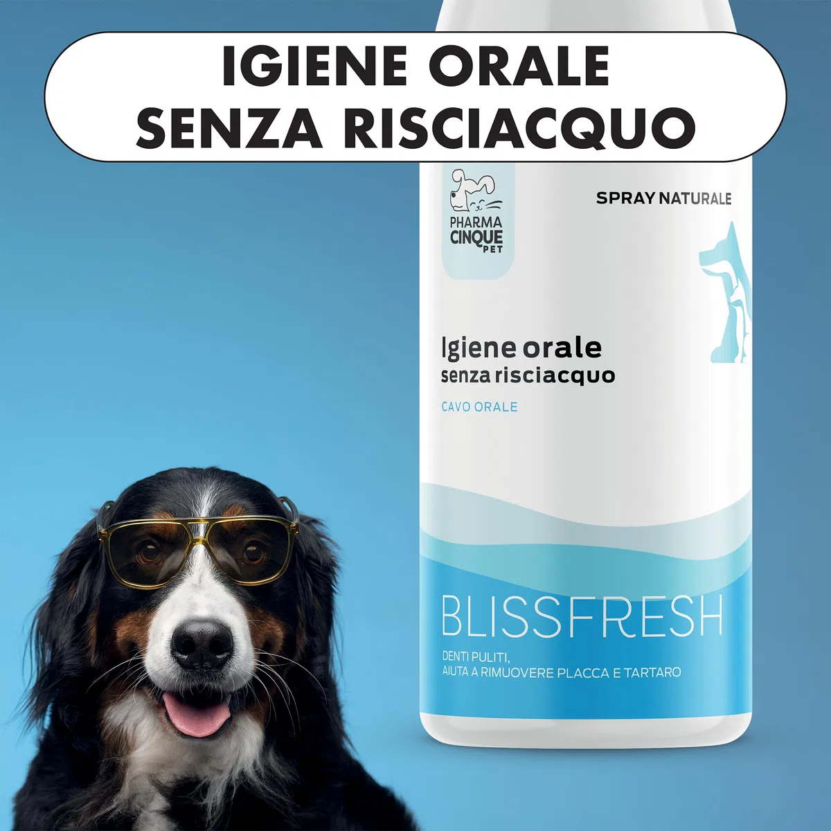 Dentifricio Cane Spray – Spray Denti Cane e Gatto per Alito Cattivo, Aiuta a Ridurre Placca e Tartaro, Igiene Orale Cane Senza Spazzolino – PHARMACINQUEPET Blissfresh 150ml