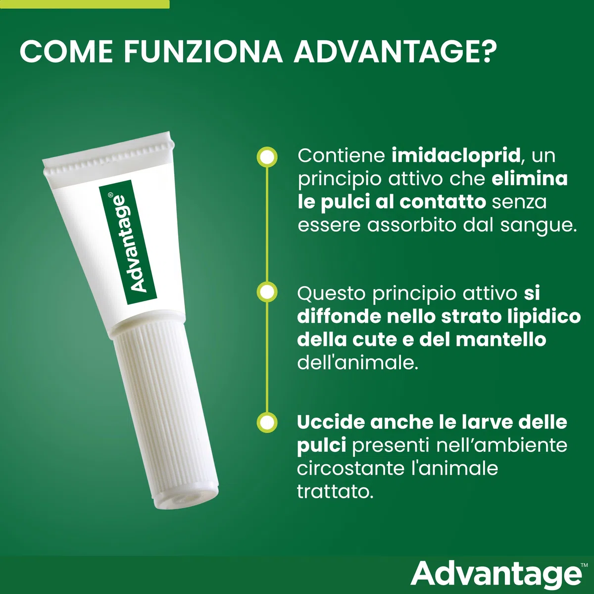Advantage spot-on trattamento antipulci per gatti grandi e conigli grandi, 4 pipette.
