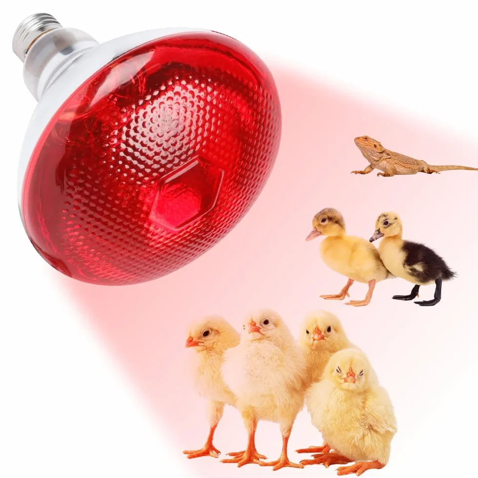 Lampada Infrarossi Riscaldante, 250W Reptile Lampada Riscaldantes, Lampadina Riscaldante E27, Lampadas per Tartarughe di Terra, per Polli, Cani, Maiali, Tartarughe, Lucertole