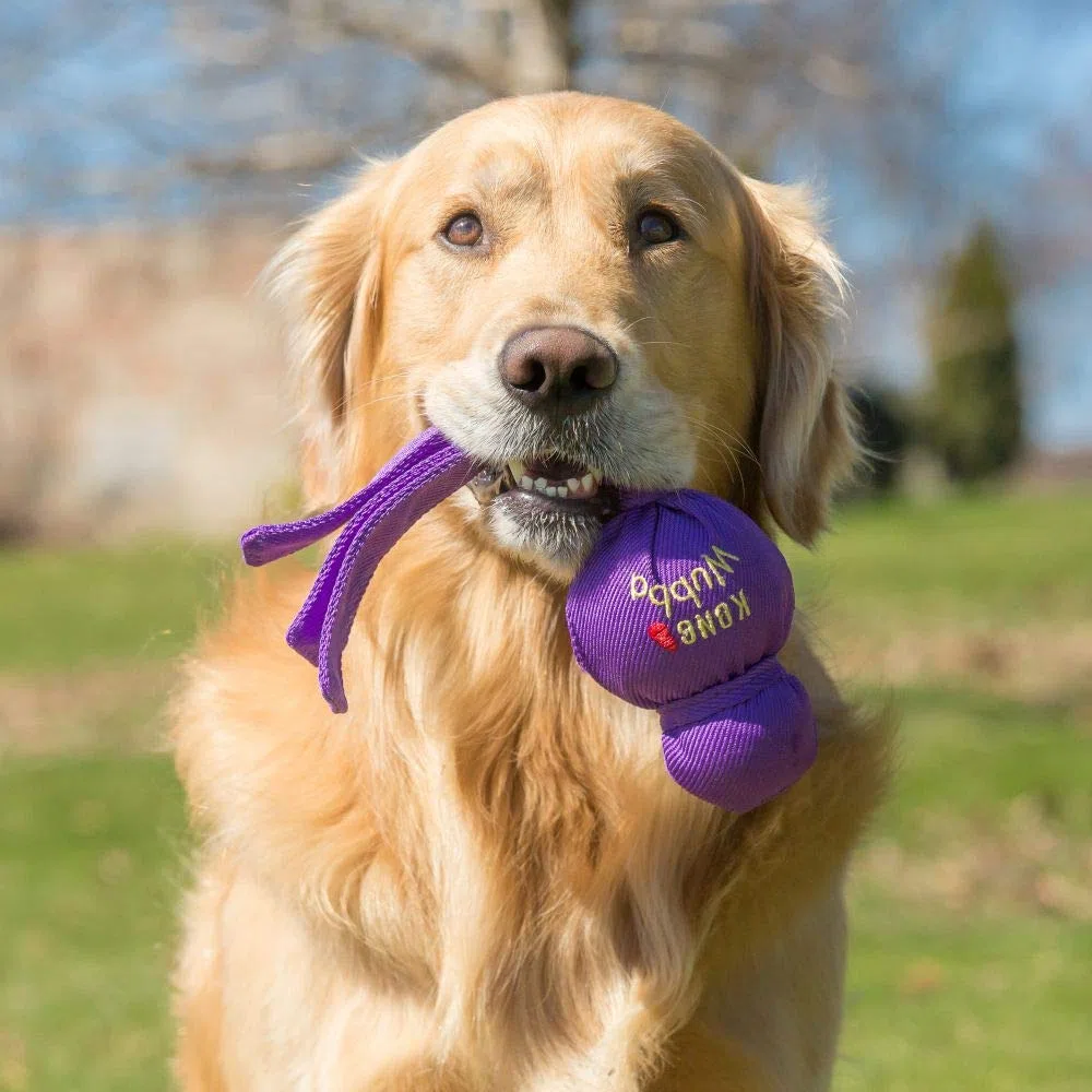 KONG Wubba - Giocattolo per cani che squittisce, taglia: L