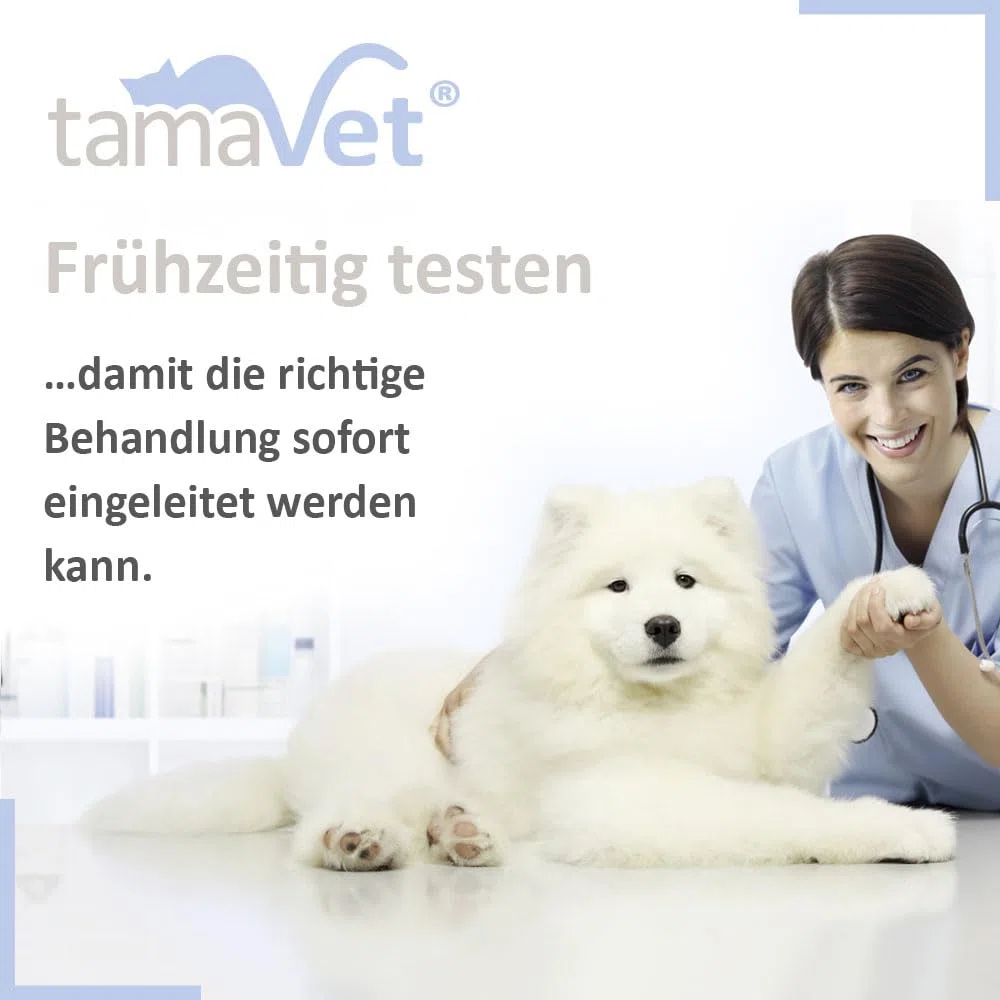 2X Test rapido Giardia Cane e Gatto – Rilevazione dell'antigene di Giardia nelle feci – Risultato rapido in Caso di diarrea e parassiti intestinali