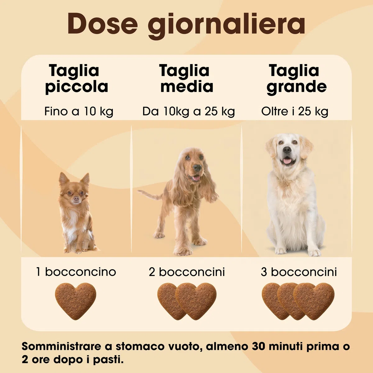 PROBIOTICI PER CANI (60 Snack Naturali) - PROBIOTICO PER CANI | Bacillus velezensis e Inulina di Cicoria | Integratore per Intestino e Difese - Bocconcini a Forma di Cuore Gustosi (2)