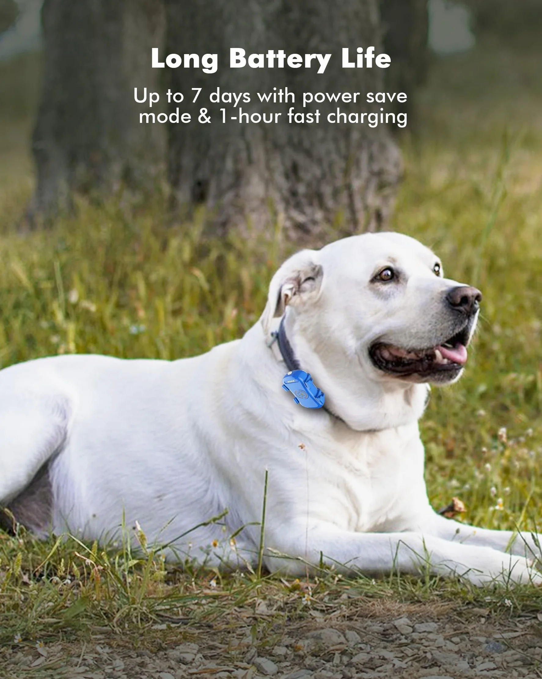 GPS Pet Tracker GPS Dog Tracker 4G Live Satellite Tracking, avvisi intelligenti multipli, monitor di attività completamente impermeabile per cani e gatti, portata illimitata, richiamo vocale remoto