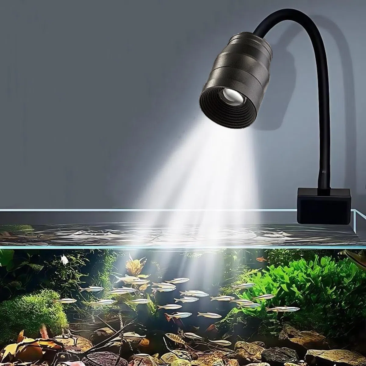 GERUI Illuminazione per acquario, 10 W, con zoom a LED, alta 3 colori, lunghezza focale regolabile, resistenza alla temperatura, dissipazione rapida del calore e per acquari d'acqua dolce da 30-45 cm
