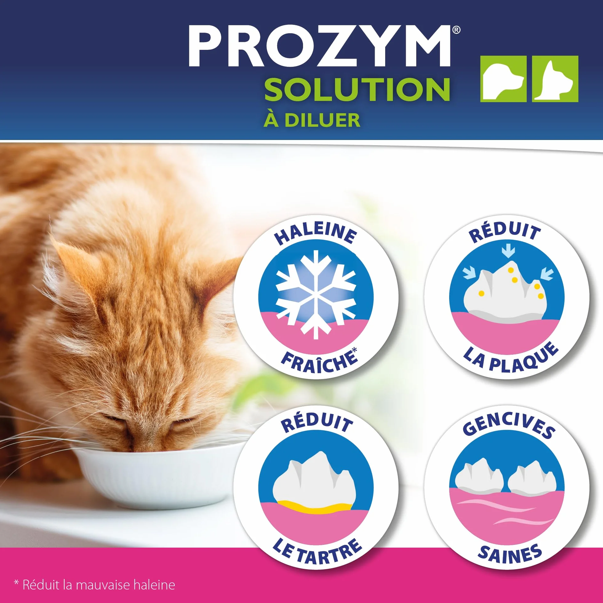 Prozym - Soluzione dentale diluente per cani e gatti - N. 1 nei veterinari - Alito fresco - Anti-tartaro - Anti-placca - Gengive sane