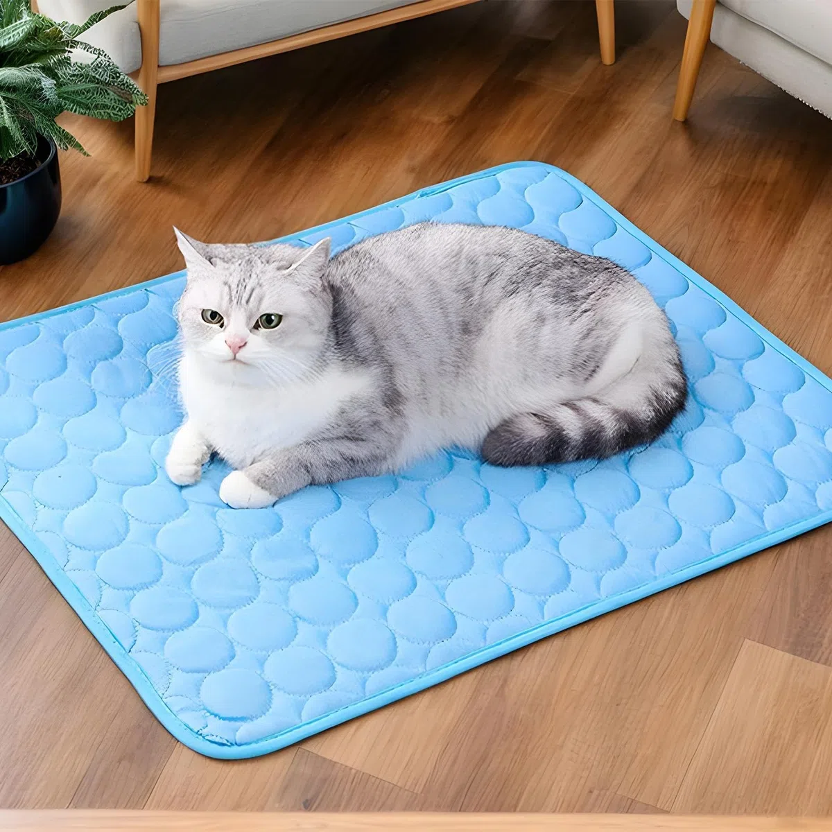 Generico Tappetino Rinfrescante Per Cani | Cuscini Freddi In Tessuto Fresco Per Cani | Coperta Estiva Traspirante Per Pavimento Divano Cuccia Giardino Spiaggia Auto