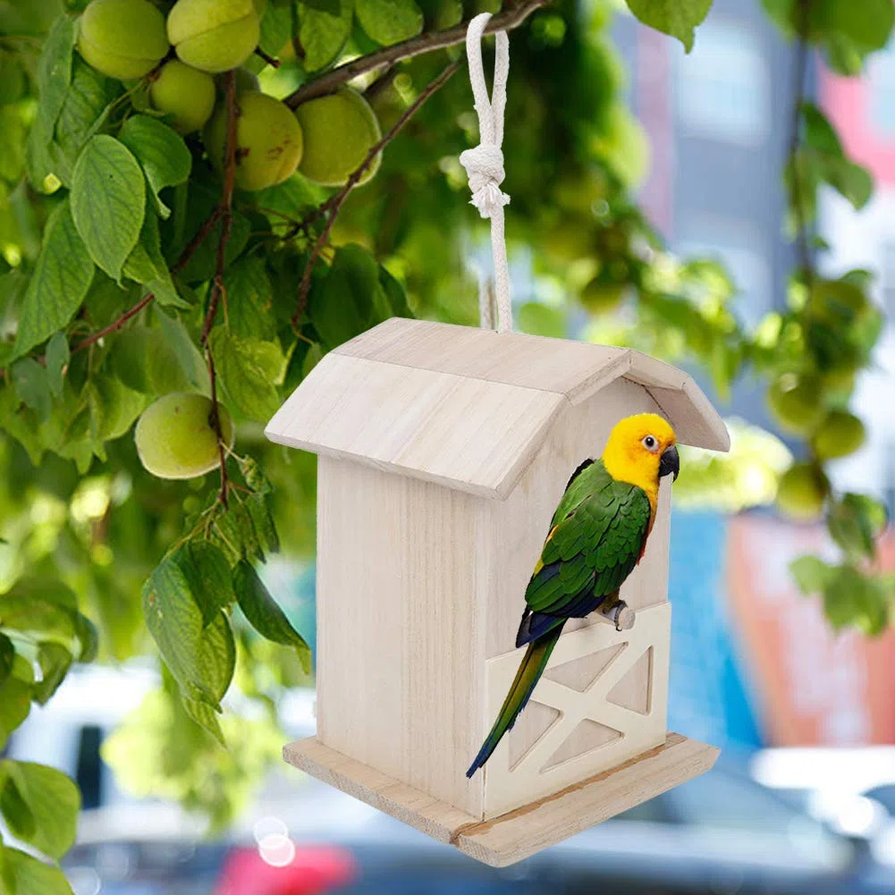 Mini Casetta per Uccelli in Legno, Materiale Innovativo in Paulownia Naturale, Forma Squisita Unica, Pregevole Fattura Resistente Ai Morsi, con Resistenza Agli Insetti a Pr