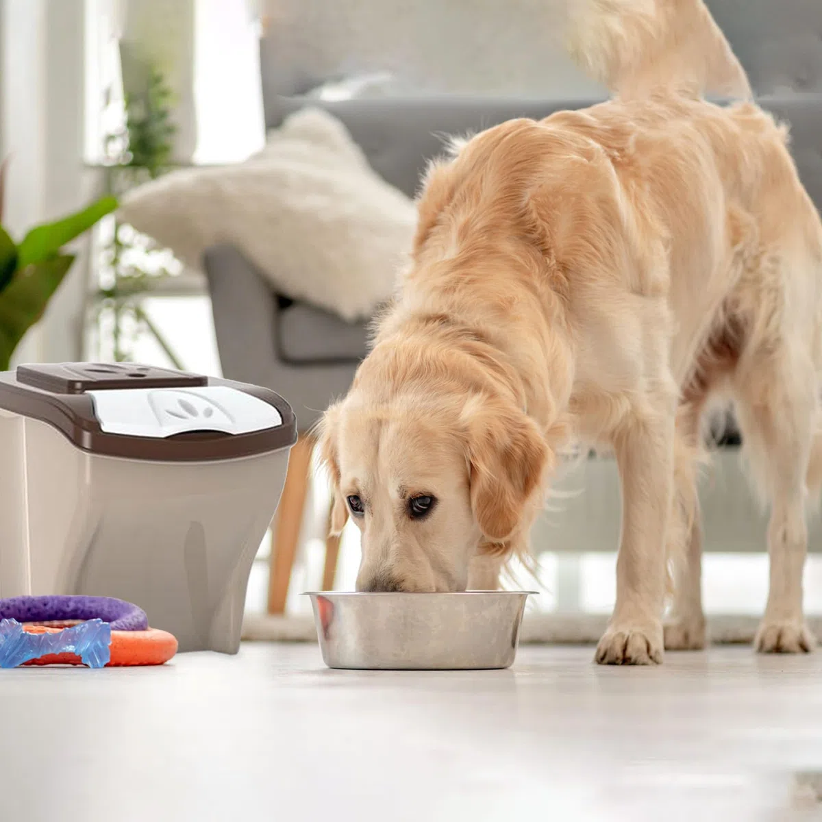 Sicignano | Contenitore Porta Crocchette per Cani Gatti 20 lt, Portata 10 kg, con Coperchio - Igienico, Occupa Poco Spazio - Componibile, Sovrapponibile, Impilabile
