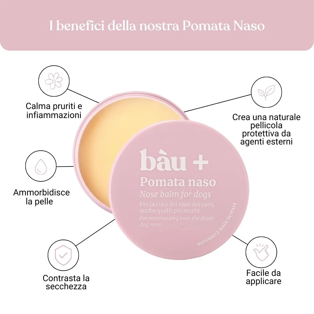 Bau Pomata Naso Cane Naturale – Balsamo per Tartufo Secco e Screpolato con Burro di Karité, Olio di Canapa Bio e Vitamina E – Trattamento Idratante e Protettivo per Uso Quotidiano