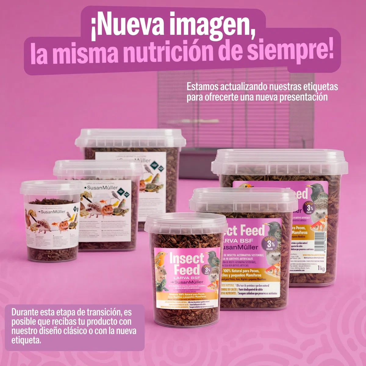 Larva di mosca soldato nera disidratate - Proteina naturale per rettili, pollame e pesci, alta densità nutrizionale, senza additivi, confezione riciclabile - Barattolo 150 g