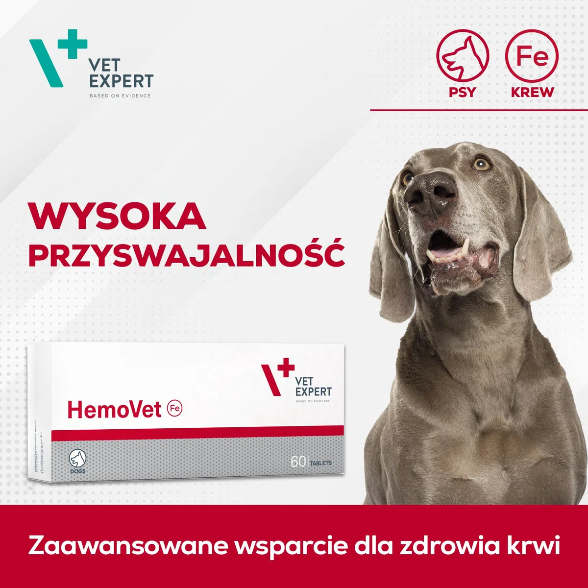 VetExpert HemoVet | 60 Compresse | Integratore Alimentare per Cani | Con Ferro, Rame e Vitamine