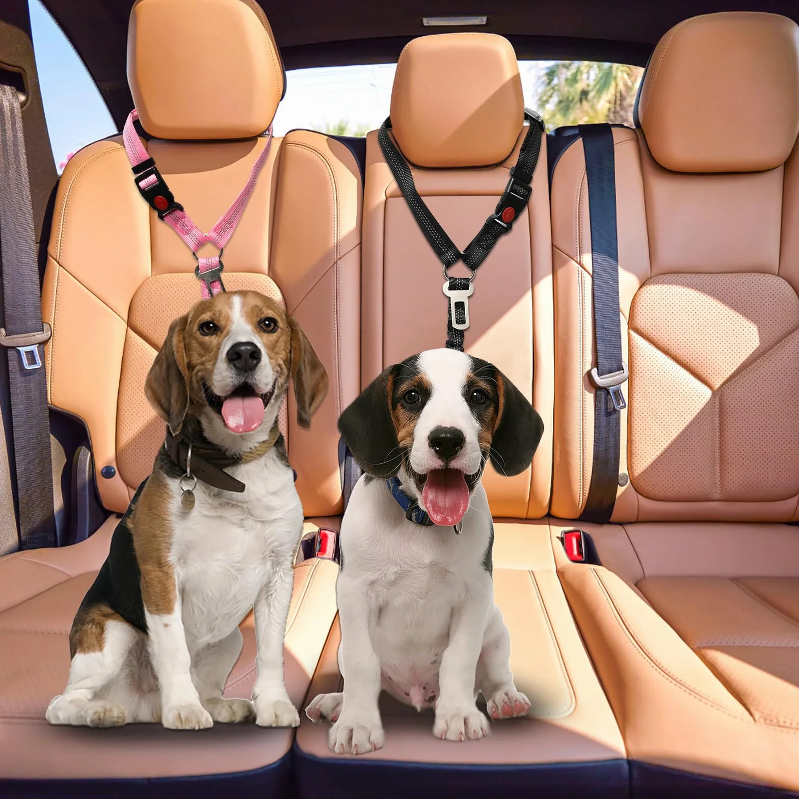 2 Pezzi Regolabile Cintura Sicurezza Cani Auto, Animale Ammortizzante Elastico Antiurto Cintura di Sicurezza Auto Adatto per Automobili(Nero+Rosa)
