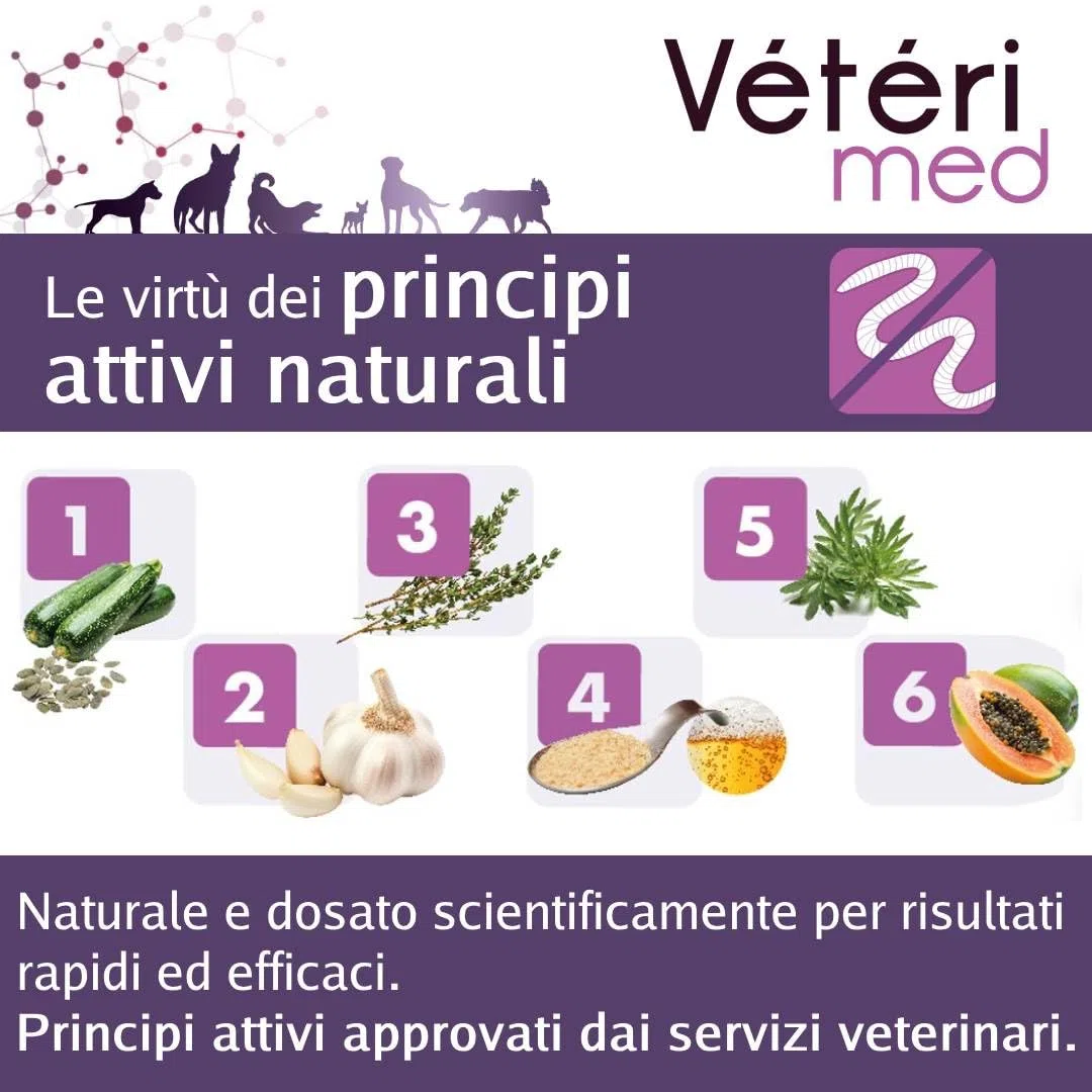 Compresse vermifughe naturali e gustose per la salute intestinale dei cani – Produttore autorizzato dall'Ufficio veterinario francese – Prodotto in Francia – 15 compresse
