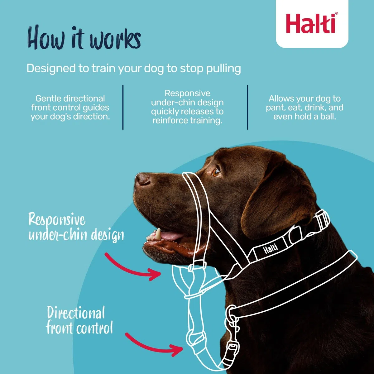 HALTI - Cavezza per impedire al cane di tirare al guinzaglio, regolabile, riflettente e leggera, con nasello imbottito, collare anti-tiro, per addestramento cani medi (Taglia 3, blu cobalto)