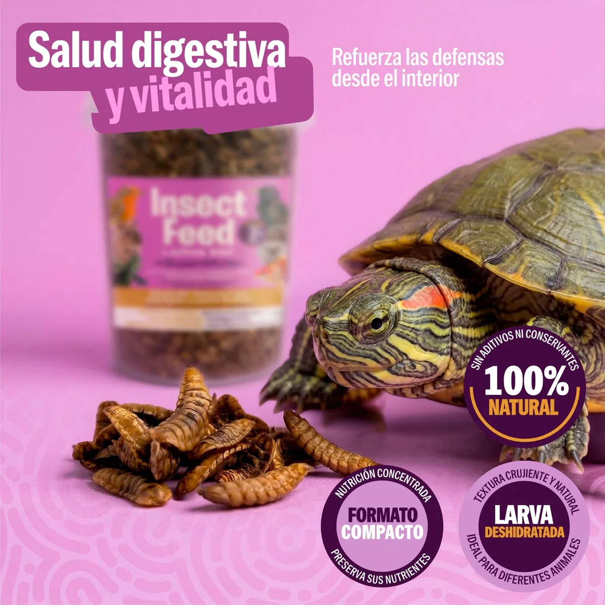 Larva di mosca soldato nera disidratate - Proteina naturale per rettili, pollame e pesci, alta densità nutrizionale, senza additivi, confezione riciclabile - Barattolo 150 g