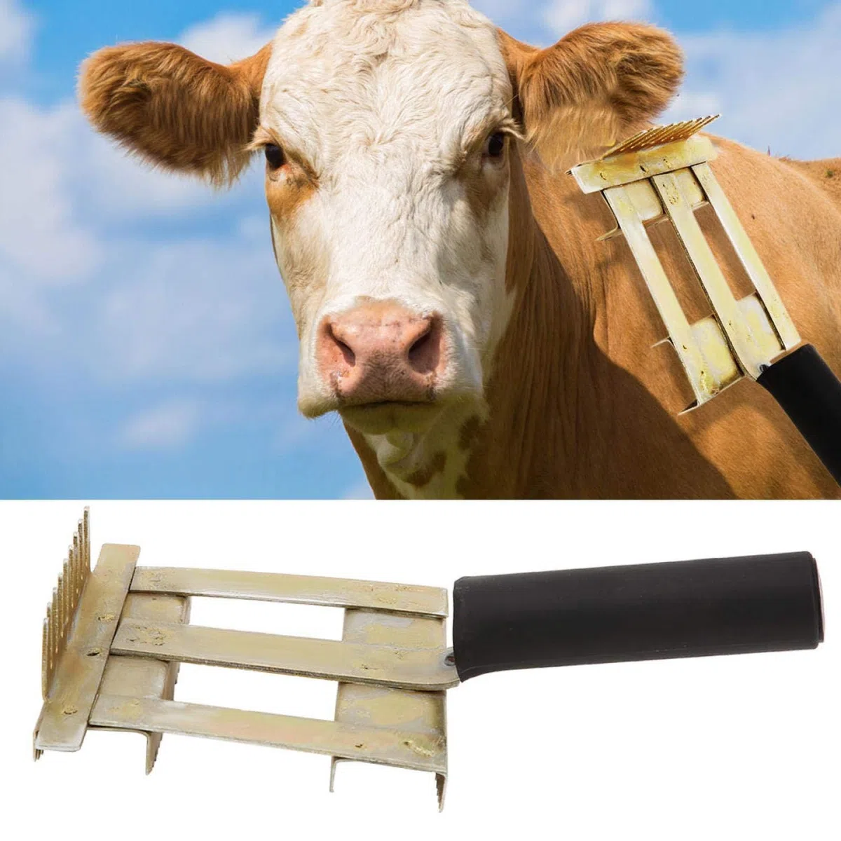 Pettine da spargimento di Bestiame, 2 spazzole per Denti con rastrello sottopelo in Metallo Laterale per Cavalli di Mucca e Capra per Cani di Grossa Taglia