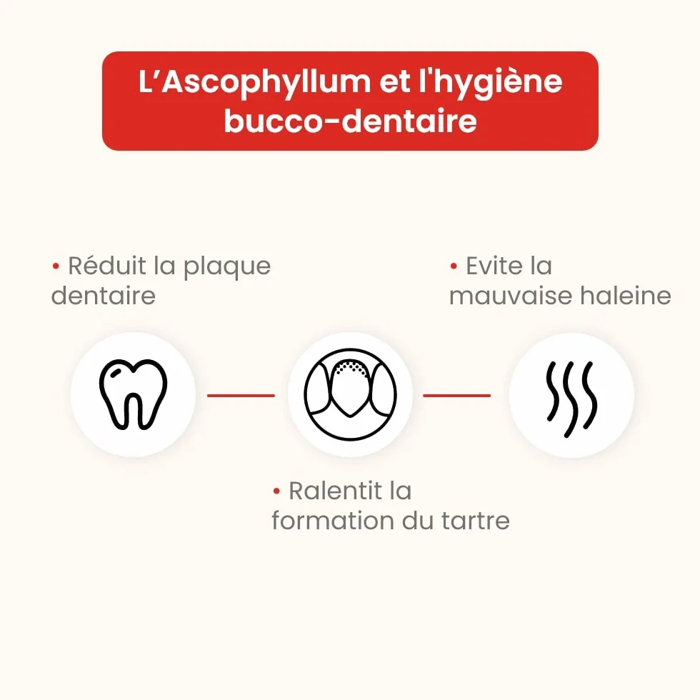 Ascophyllum nodosum in polvere - per cani e gatti - Igiene orale - Riduce la placca dentale e il tartaro, evita l'alito cattivo - Vasetto da 100 g - Sviluppato in Francia