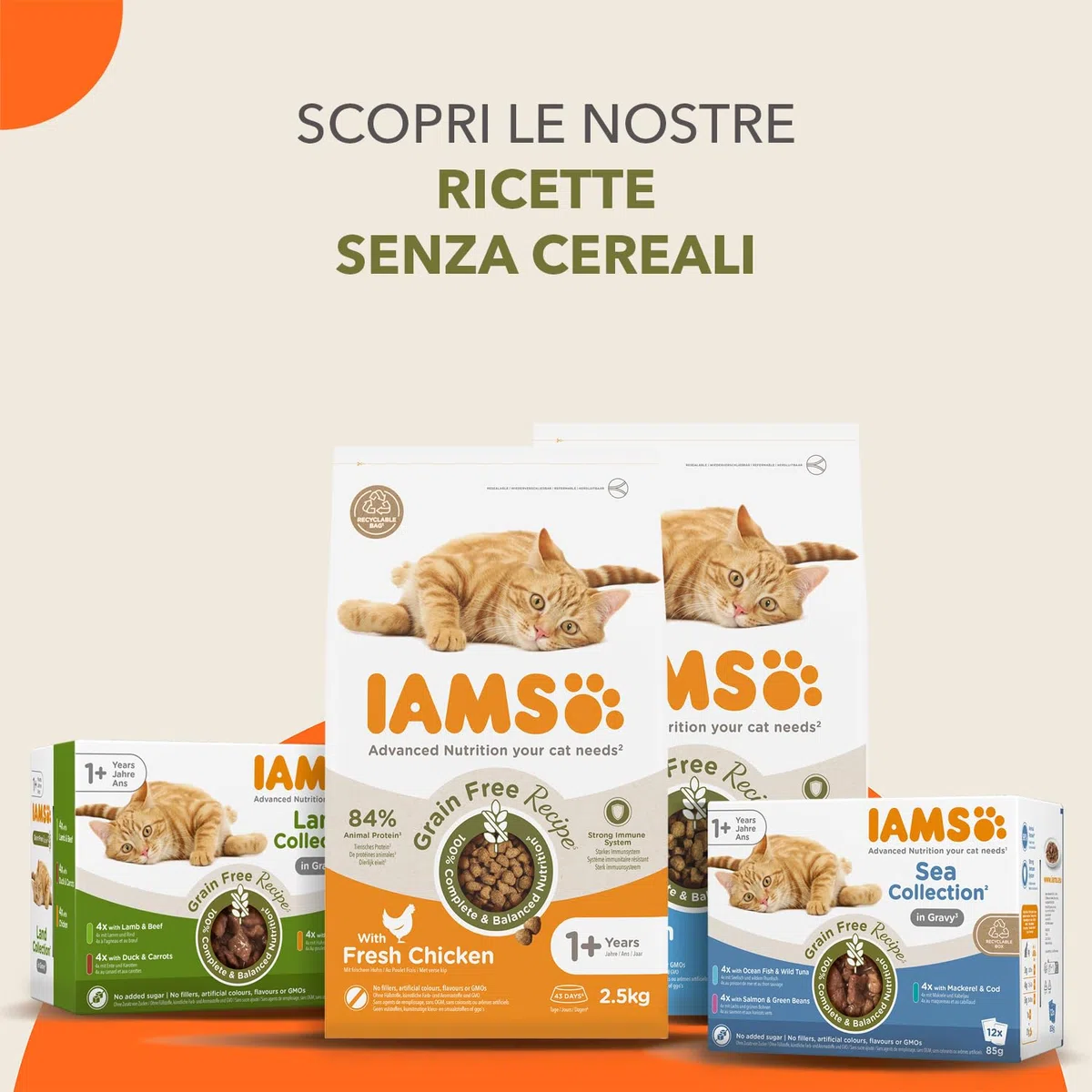 IAMS Cibo per gatti senza cereali con pollo - Alimenti secco per gatti adulti da 1 anno, 2,5 kg