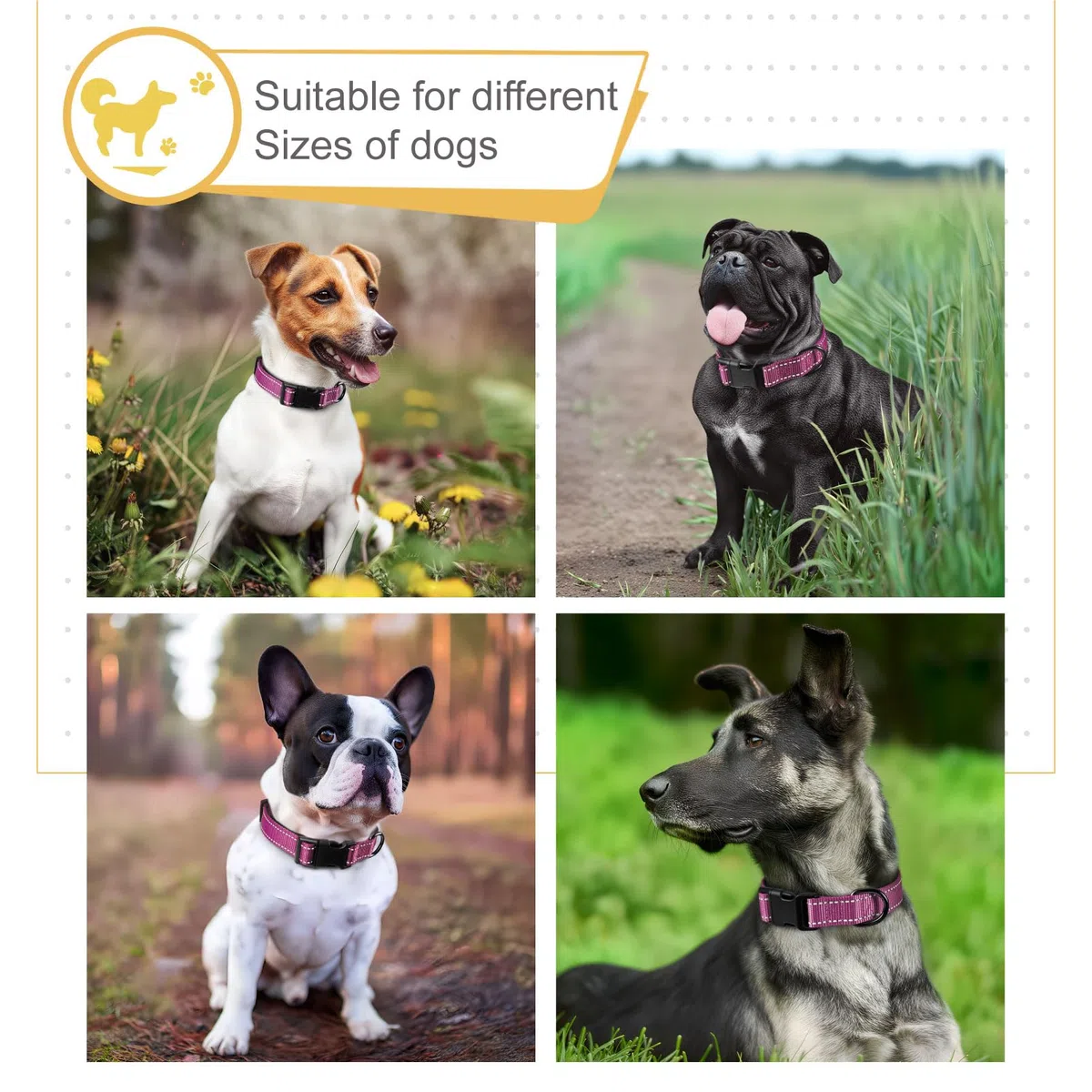 HEELE Collare per Cani, Collare Cane Riflettente Imbottito Nylon Regolabile Traspirante Collari per Cani di Taglia Media, Magenta, M(34-52cm)