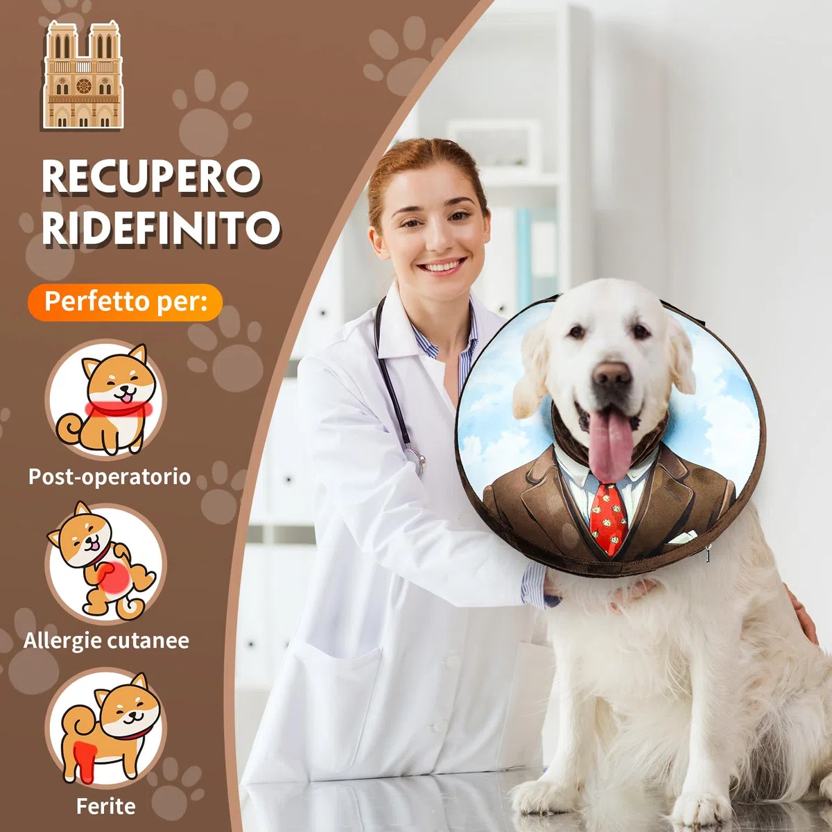 Collare Elisabettiano Gonfiabile per Cani e Gatti - Morbido e Regolabile, Ideale per il Recupero Post-Operatorio, Protezione da Leccate e Graffi, M