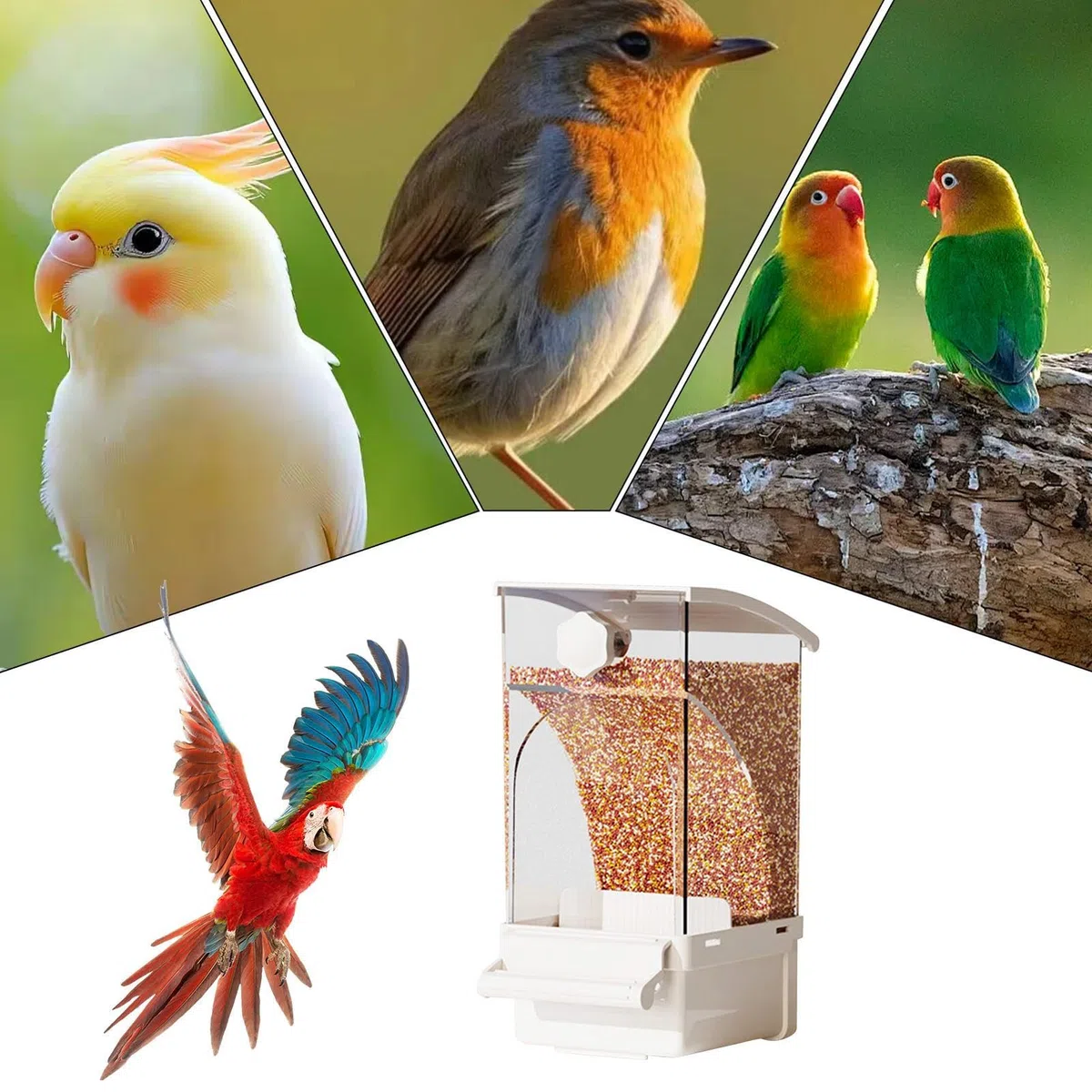 Multa per uccelli automatici per gabbia, alimentatore di pappagalli | Ciotola di cibo per uccelli auto,Accessori in gabbia, forniture per animali domestici per Cockatiel Parrot Cockatoo Canary Parakee