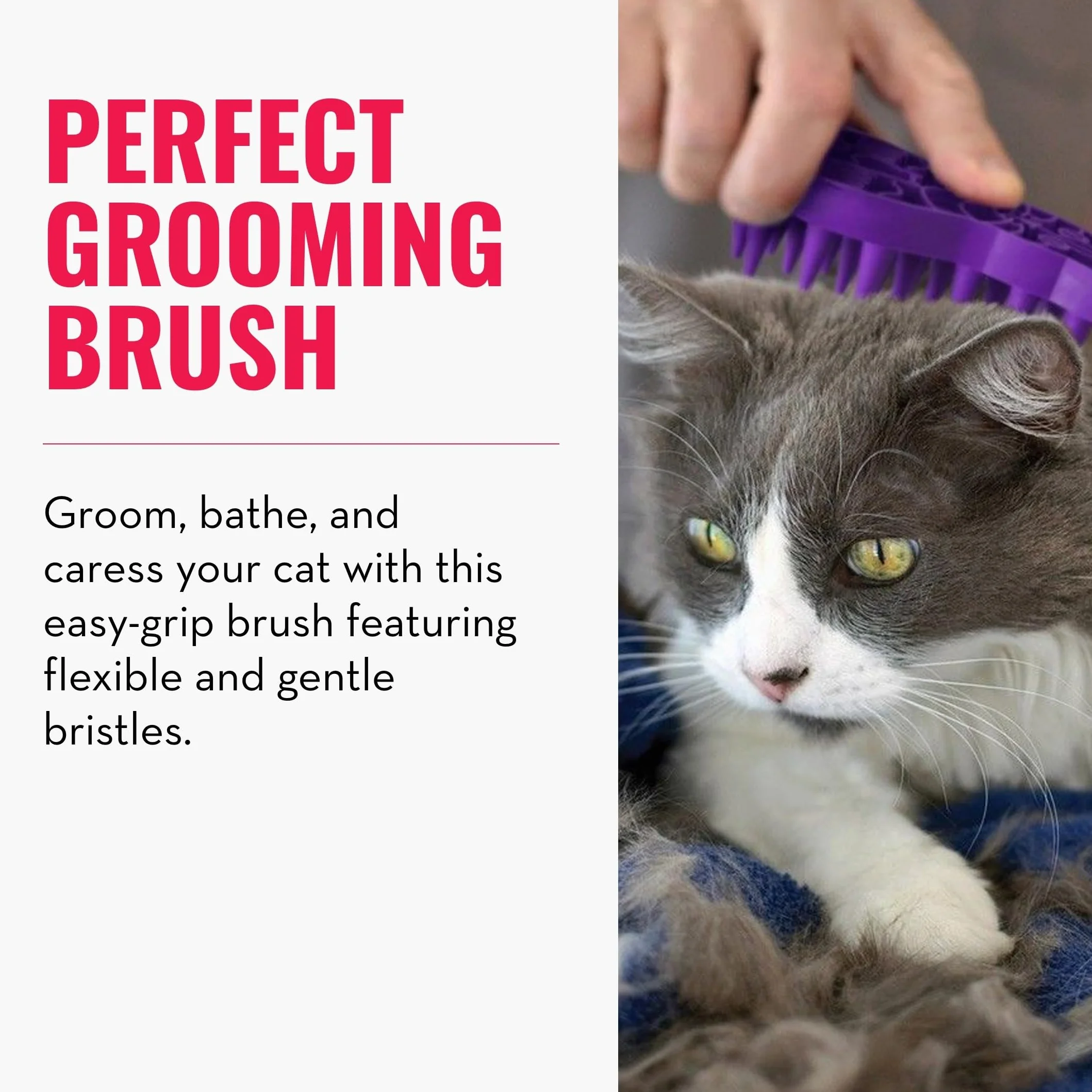 KONG - Cat ZoomGroom - Morbida spazzola in gomma per toelettatura e massaggi per gatti
