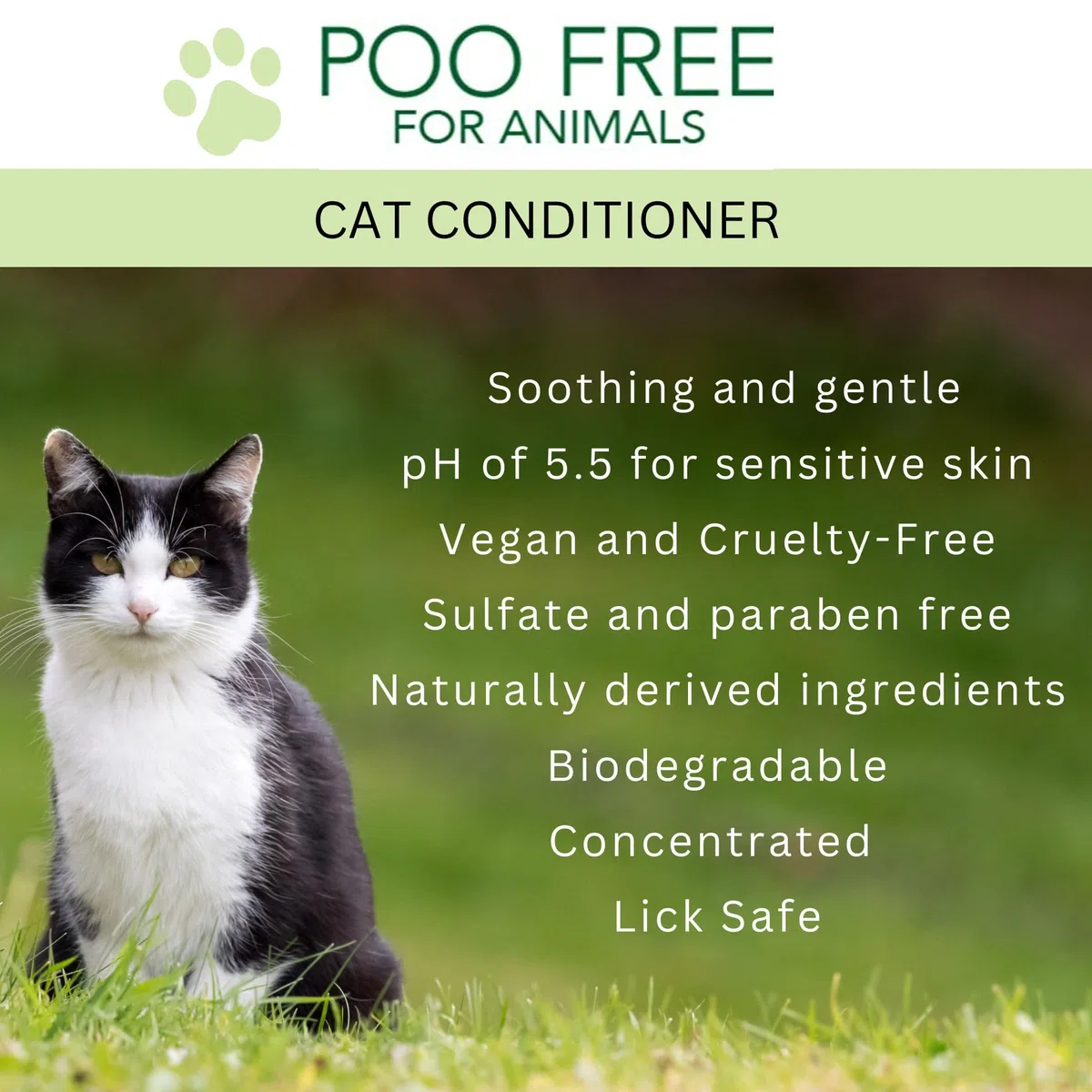 99% Naturale BALSAMO PER GATTI - COCCO & ERBA GATTA - 250ml di POO FREE. Senza Solfati, Senza Parabeni. Allevia il Prurito, Elimina Odori. Per Pelli Sensibili. Concentrato