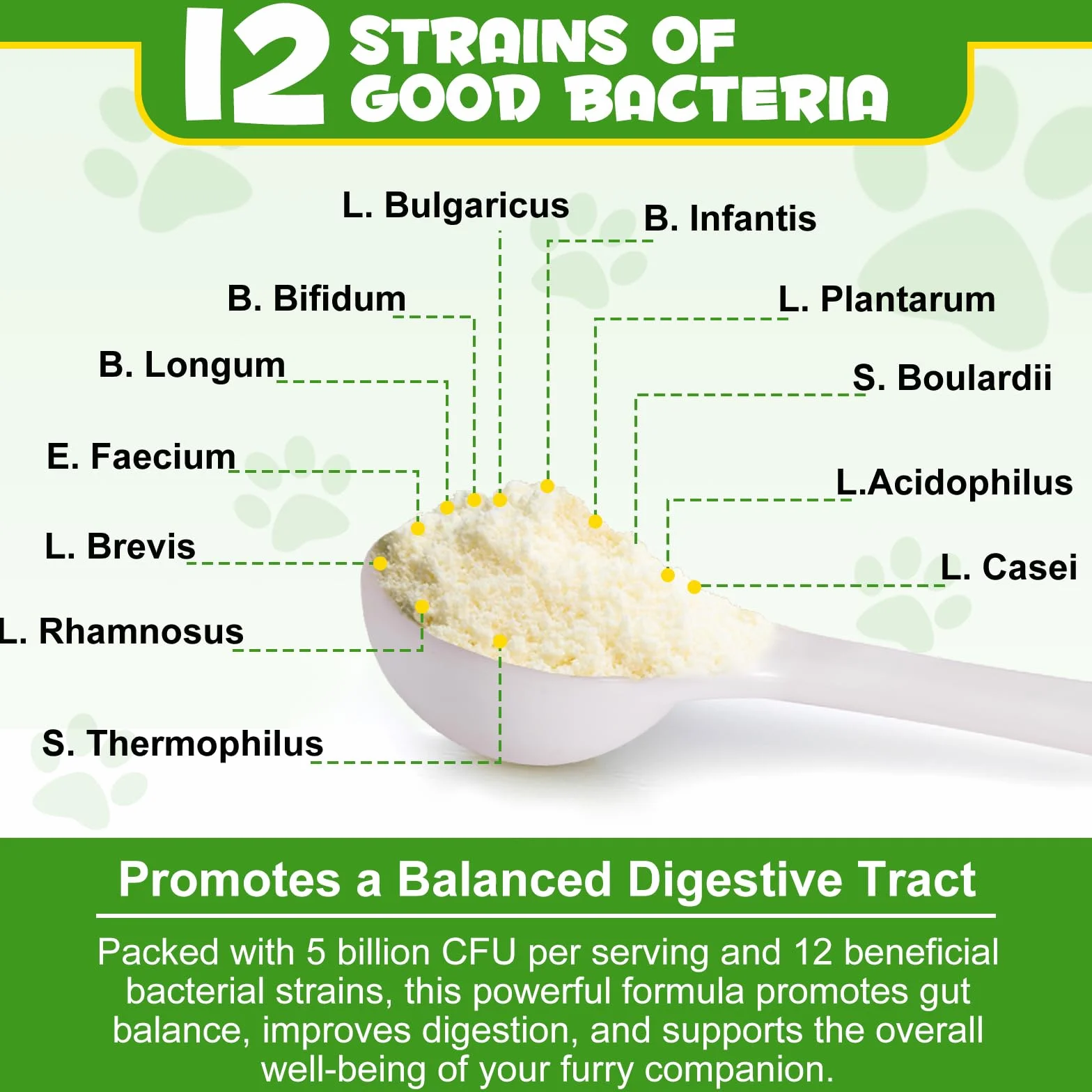 Probiotico In Polvere Per Cani - Ricco Di Prebiotici - 12 Ceppi Di Batteri Benefici, Favorisce Una Digestione Sana, Equilibra La Flora Intestinale, Rafforza Il Sistema Immunitario 120g