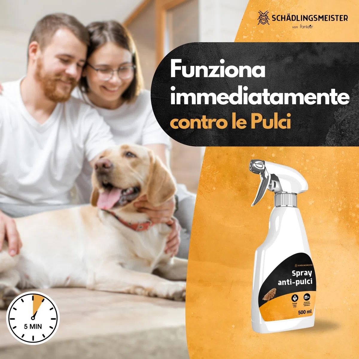 Spray antipulci - 500ml - Contro le pulci in casa - Senza permetrina - Altamente efficace grazie all'acetamipride - Made in Germany