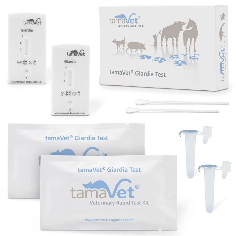 2X Test rapido Giardia Cane e Gatto – Rilevazione dell'antigene di Giardia nelle feci – Risultato rapido in Caso di diarrea e parassiti intestinali