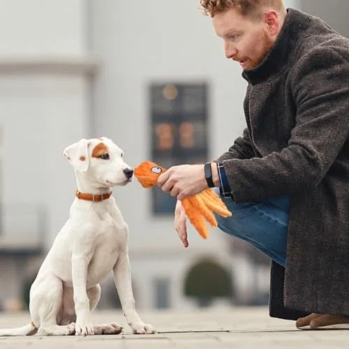 Giochi con Squeak per Cani Giocattoli per Cane Non Riempiti Sicuri, Giocattoli per Polpi per Animali Domestici Polipo Peluche Giocattoli da Masticare con Carta Increspata
