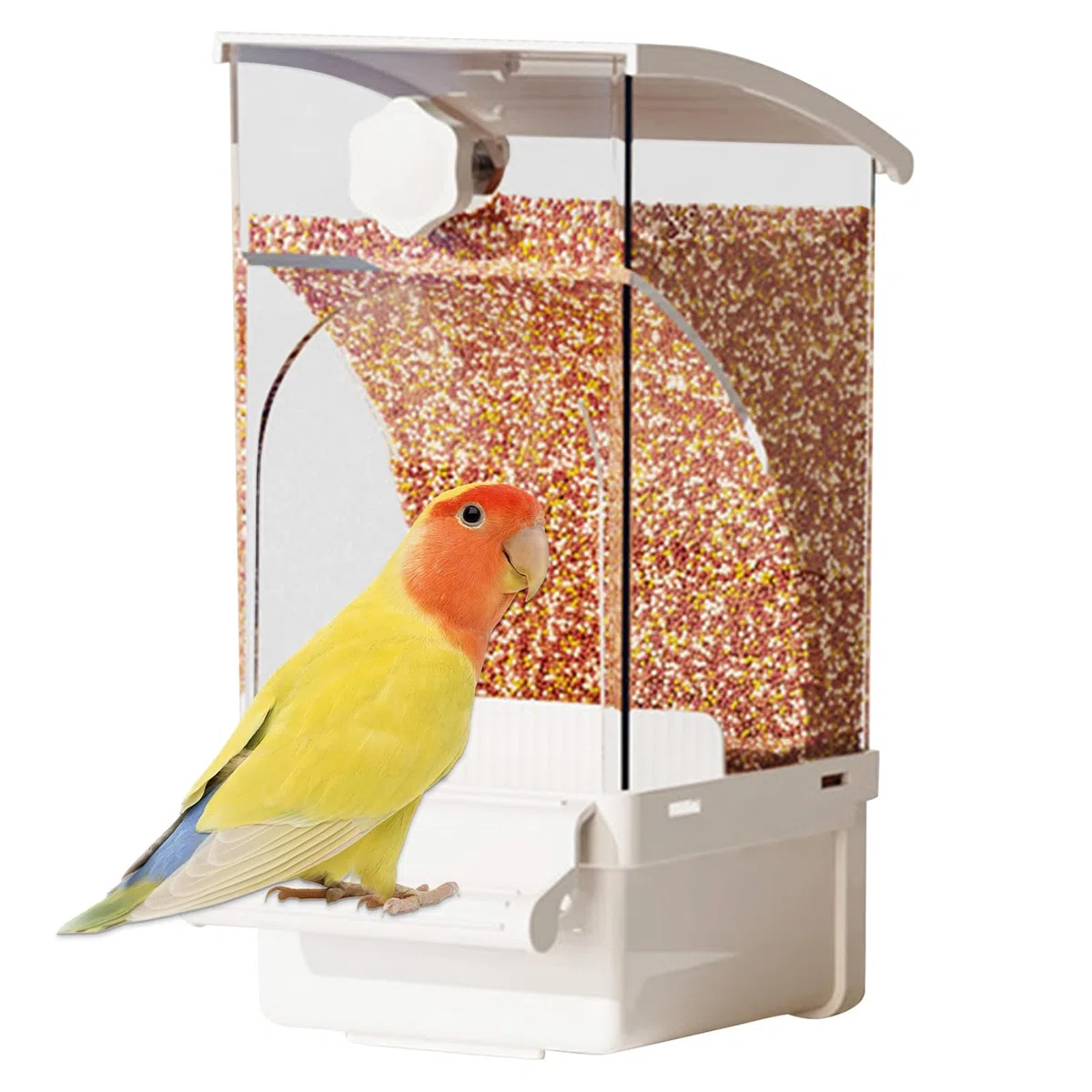Multa per uccelli automatici per gabbia, alimentatore di pappagalli | Ciotola di cibo per uccelli auto,Accessori in gabbia, forniture per animali domestici per Cockatiel Parrot Cockatoo Canary Parakee