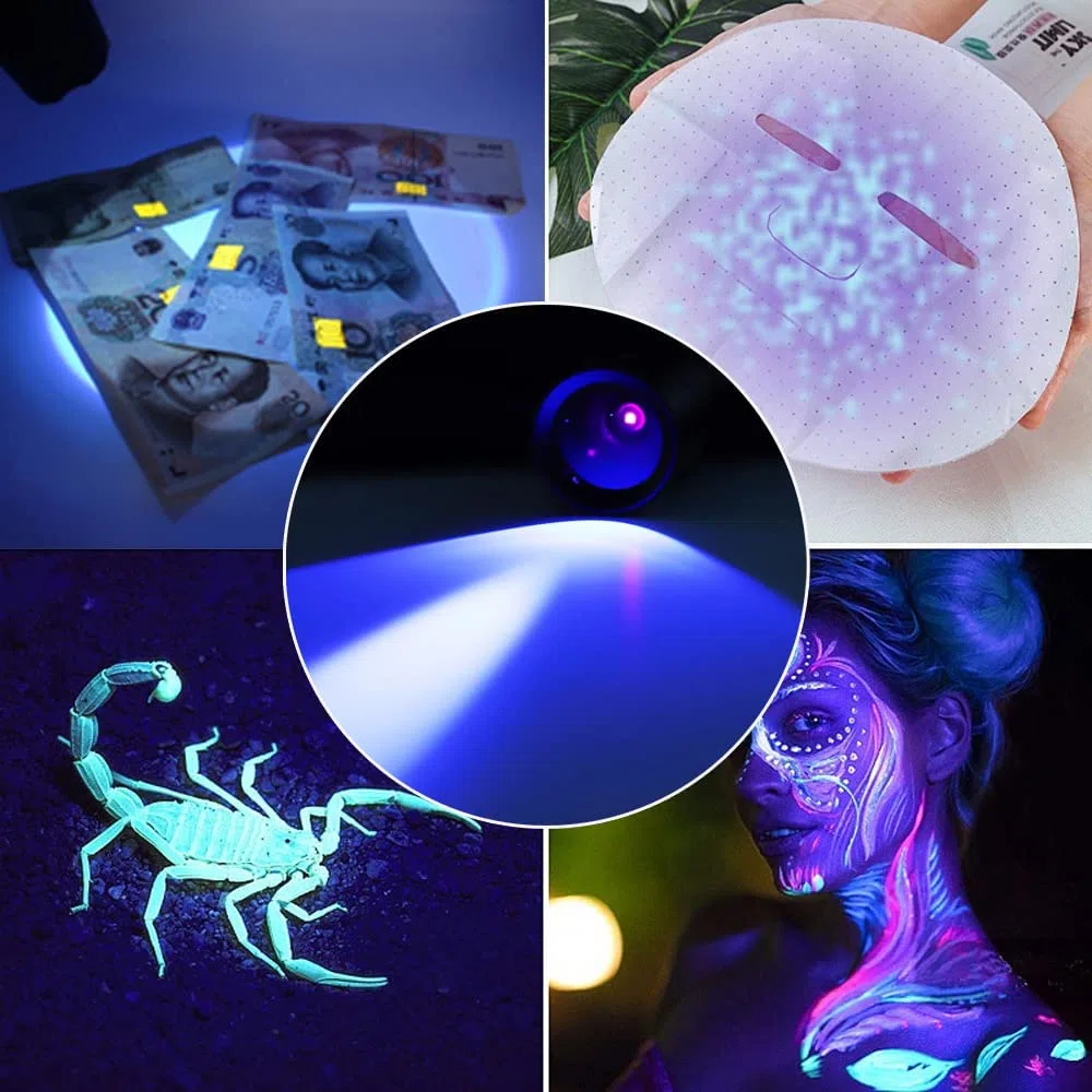 Torcia UV per polimerizzazione della resina, rilevamento delle urine dell'animale domestico, rocce incandescenti, cimici dei letti, minerali, ricaricabile da 365 nm, impermeabile