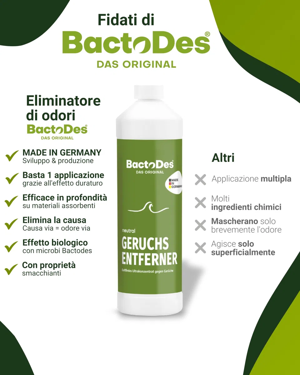BactoDes Neutral Geruchsneutralisierer 1L I Geruchloser Enzymreiniger mit biologischer Mikrobenkraft & Tiefenwirkung inkl. Spray-Mischflasche I Effektiver Geruchsentferner für Haus, Auto & Textilien