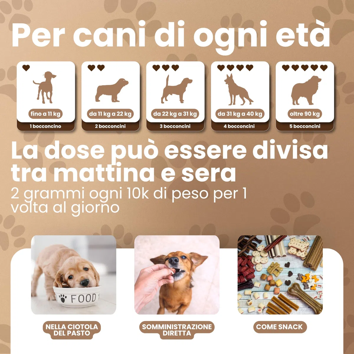 DBLabo Antitartaro per Cani 200g, Polvere Denti Cane con Alga Ascophyllum, Propoli e Menta, Controllo Placca, Sciogli Tartaro Cane in Polvere, Integratore Denti e Gengive con Alito Fresco