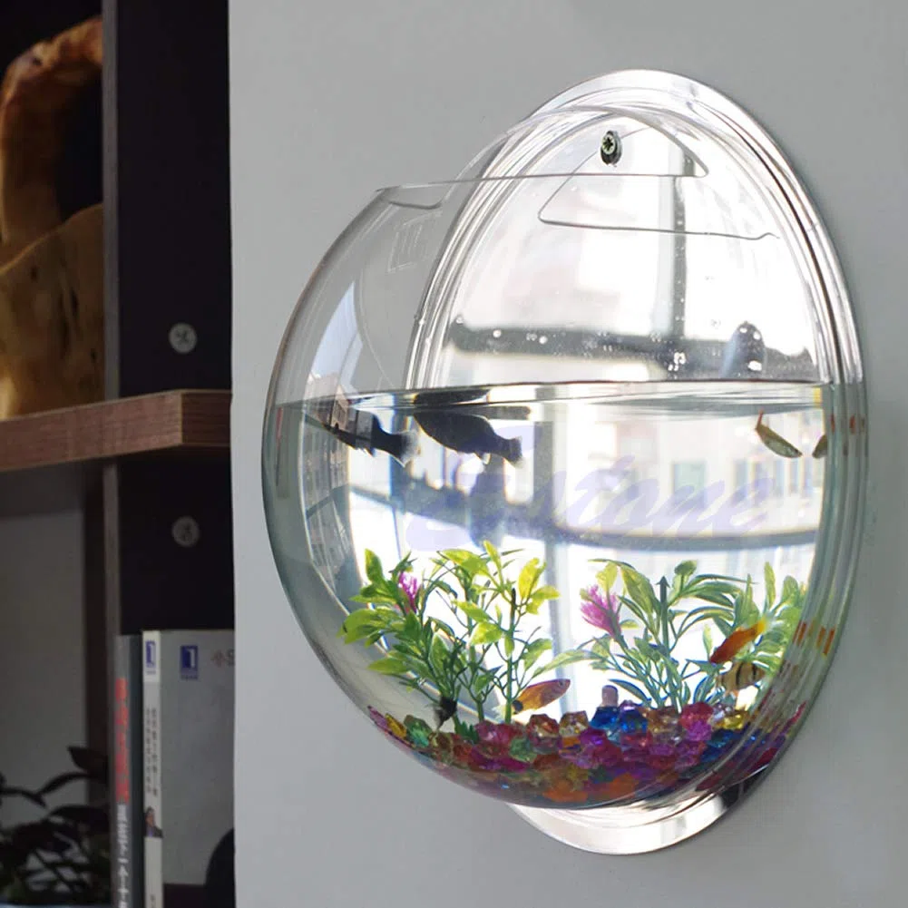Ciotola per pesci da appendere a parete, per acquario, decorazione da parete per pesci vegetali, in acrilico trasparente 5 9 7 7 10 2 Acquario con combinazione di supporto