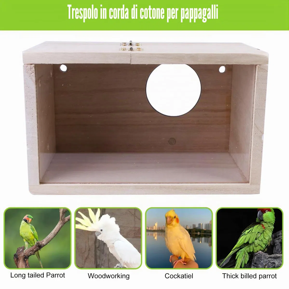 Nizirioo Casetta per uccelli trasparente, pappagallo, in legno massiccio, per pappagalli, allevamento di uccelli, 12 x 12 x 19,5 cm