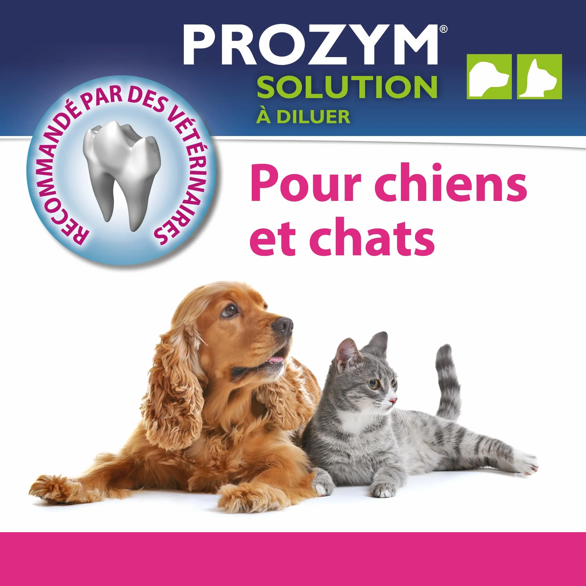 Prozym - Soluzione dentale diluente per cani e gatti - N. 1 nei veterinari - Alito fresco - Anti-tartaro - Anti-placca - Gengive sane