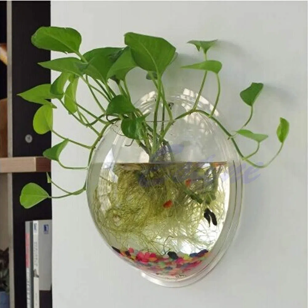 Ciotola per pesci da appendere a parete, per acquario, decorazione da parete per pesci vegetali, in acrilico trasparente 5 9 7 7 10 2 Acquario con combinazione di supporto