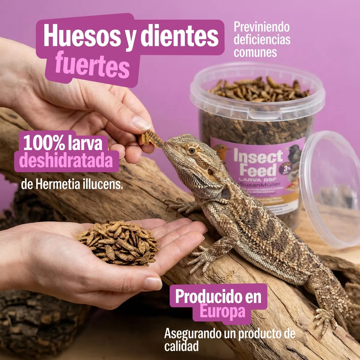 Larva di mosca soldato nera disidratate - Proteina naturale per rettili, pollame e pesci, alta densità nutrizionale, senza additivi, confezione riciclabile - Barattolo 150 g