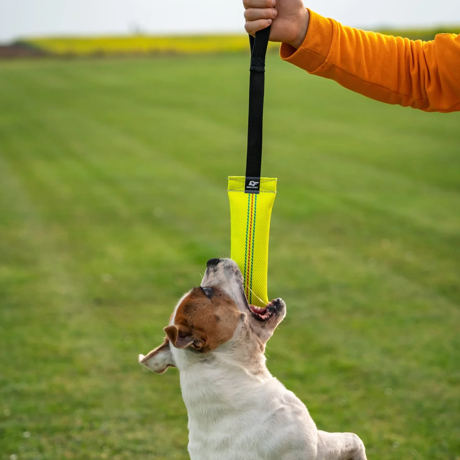 Bull Fit Bungee Manicotto per Cani, con Cuciture Esterne, con un Fiocco - Duraturo, fatta a mano in manichetta antincendio - per l'addestramento o per il gioco